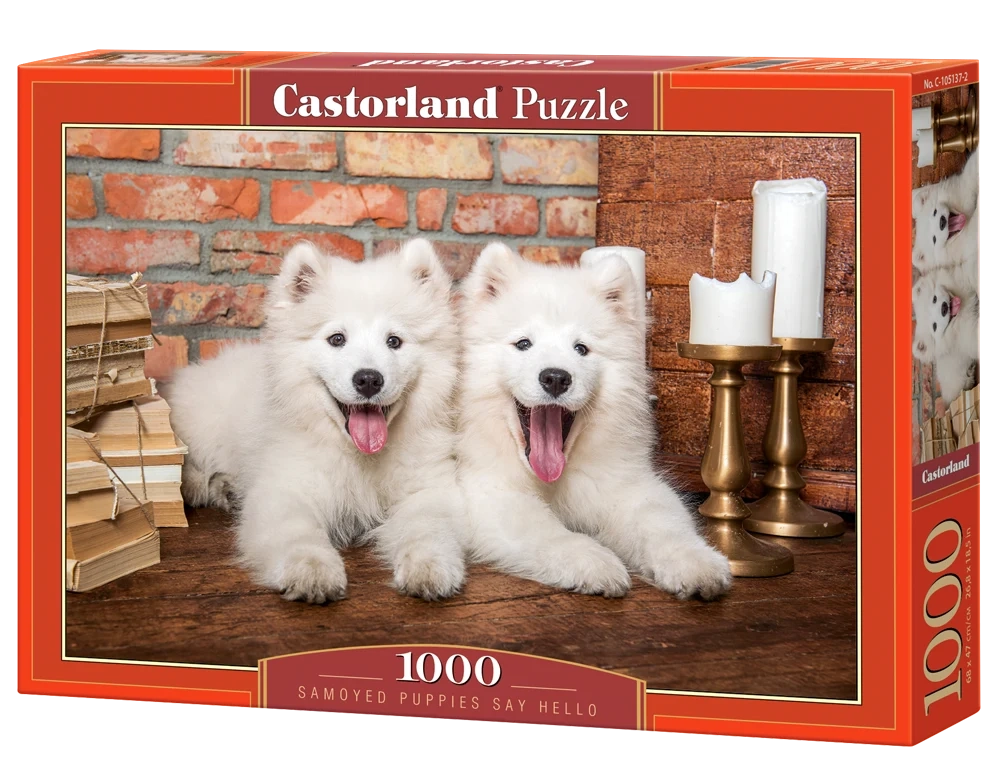 Samoyed Puppies say Hello, 1000 Bitar Castorland - 2