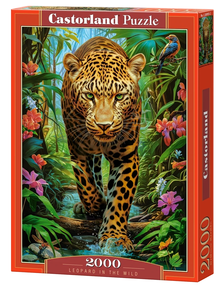 Leopard in the Wild, 2000 Bitar Castorland - 2