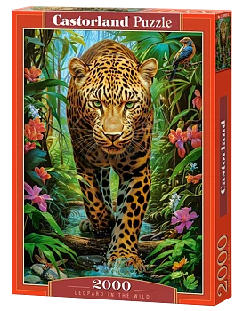 Leopard in the Wild, 2000 Bitar Castorland