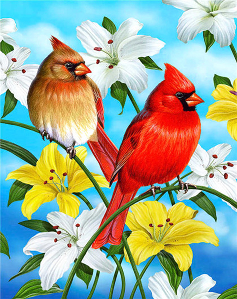 Birds, Diamond Picture Diamond Painting