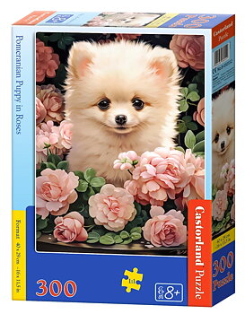 Pomerian Puppy in Roses, 300 Bitar Castorland