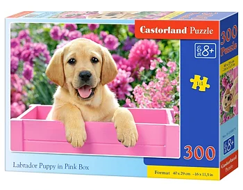 Labrador Puppy in Pink Box 300 Bitar Castorland