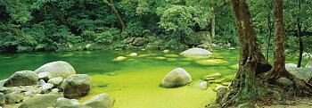 Mossman Gorge-Queensland Australia 1000 Bitar Schmidt