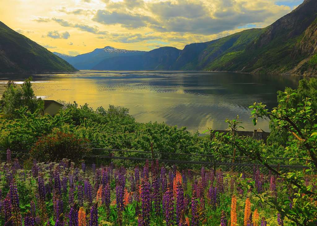 Fjord in Norway 1000 Bitar Ravensburger
