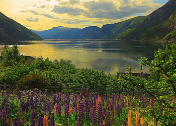 Fjord in Norway 1000 Bitar Ravensburger