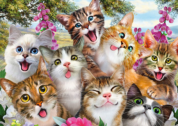 Cat Selfie 500 Bitar Schmidt