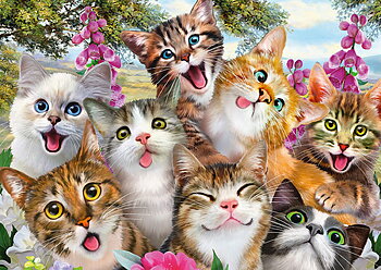 Cat Selfie 500 Bitar Schmidt