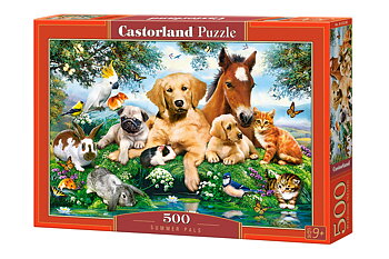 Summer Pals 500 Bitar Castorland