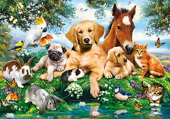 Summer Pals 500 Bitar Castorland