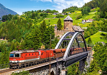 Train on the Bridge 500 Bitar Castorland