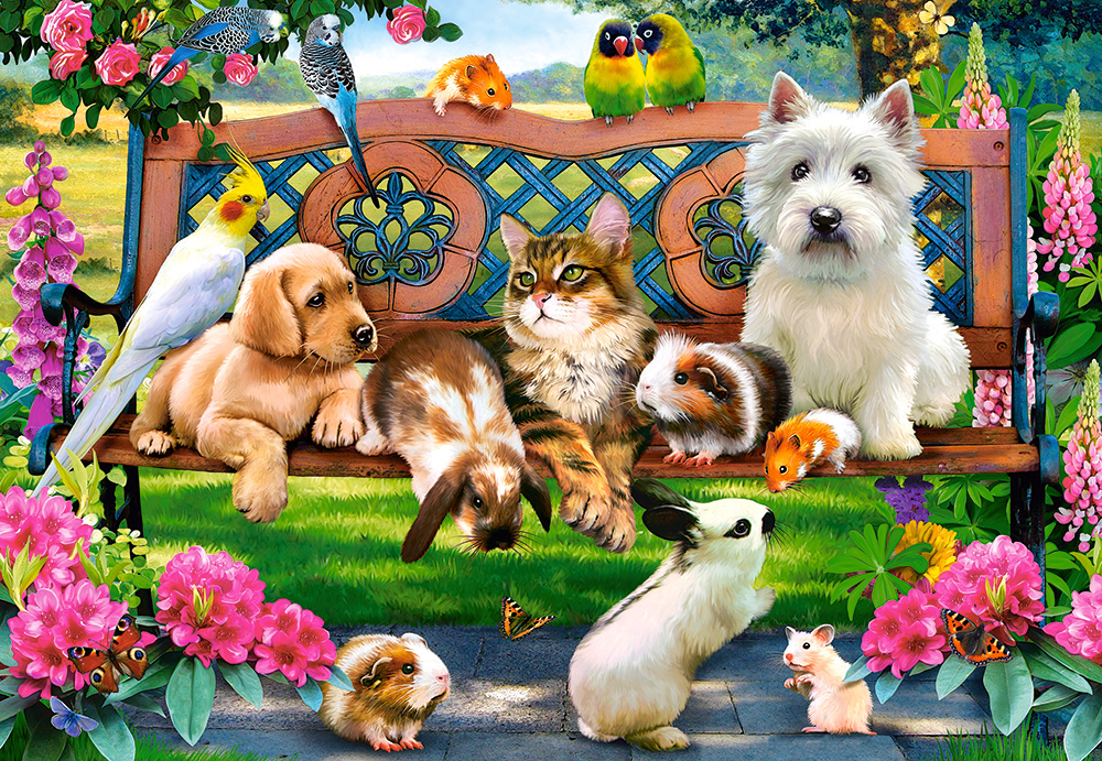 Pets in the Park 1000 Bitar Castorland