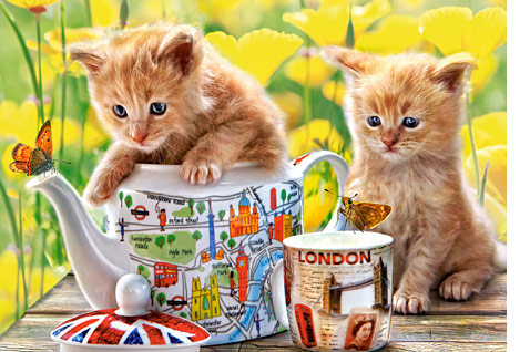 Tea Time 500 Bitar Castorland