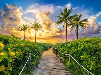 Colorful Sunrise in Miami, USA 3000 Bitar Castorland