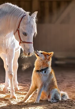 Unique Friendship 1000 Bitar Castorland