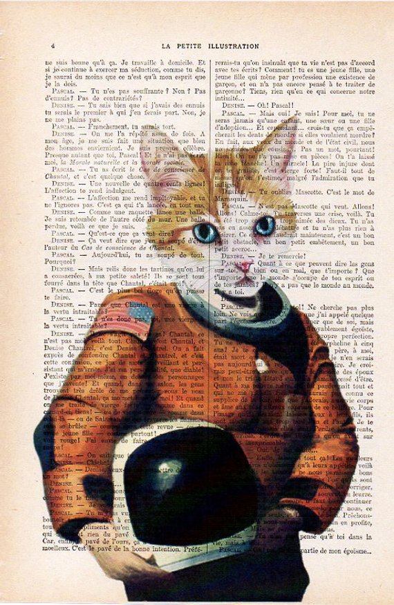 Katt som astronaut
