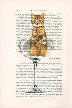 Katt i glas