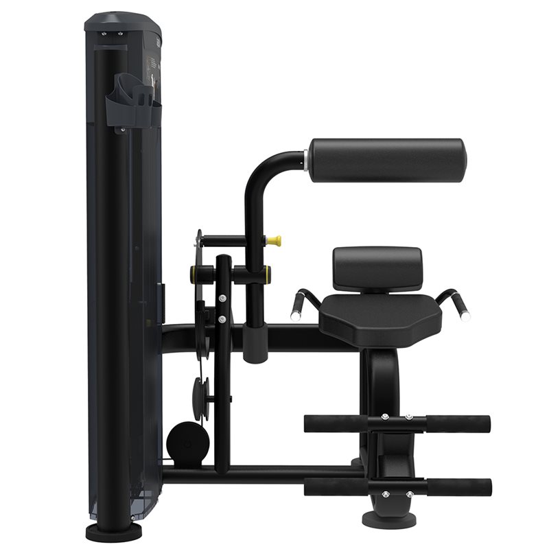  Impulse IT9532 Back Extension - 3