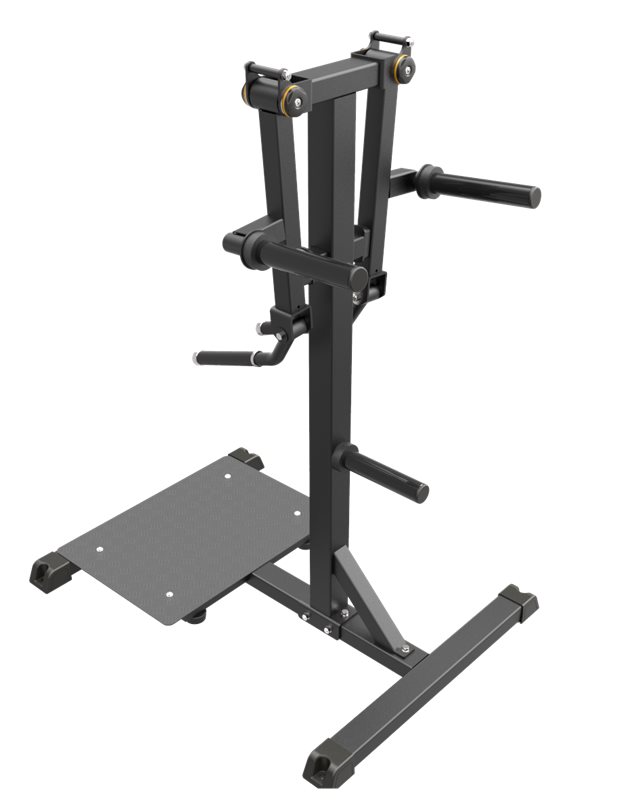 Impulse IFP Standing Lateral Raise Black - 2