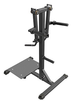 Impulse IFP Standing Lateral Raise Black