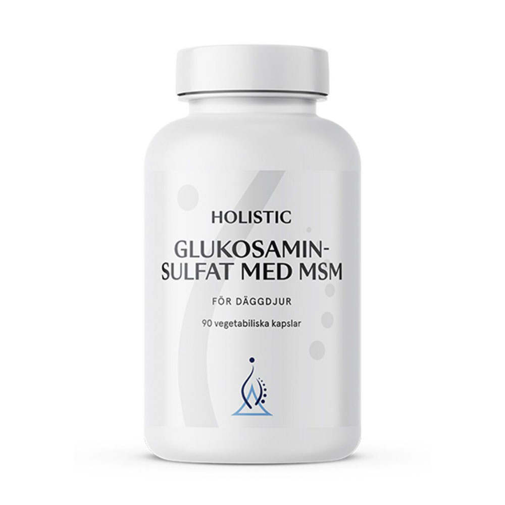 Glukosaminsulfat MSM 90 kap Holistic