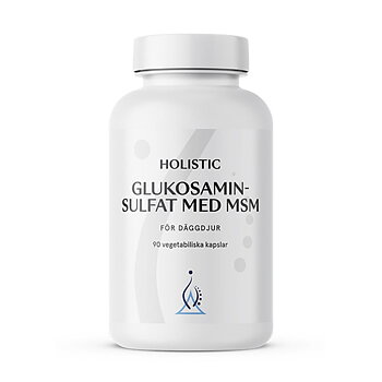 Glukosaminsulfat MSM 90 kap Holistic