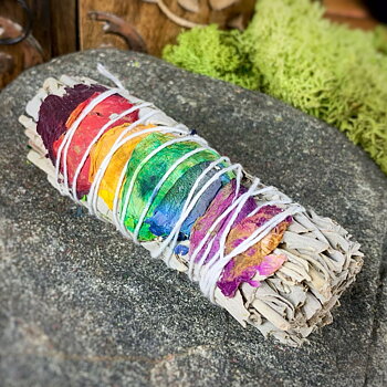 Salvia Rainbow 1st / 10-12cm c:a 25 g KANI NaturApotek