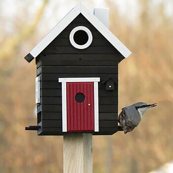 Multiholk Svart hus, svart fågelmatare i naturmiljö
