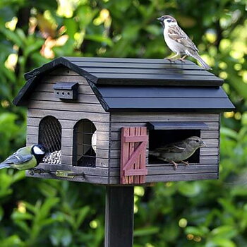 Multifeeder Barn Brown, bird feeder in a garden setting with a bluetit and a tree sparrow on it