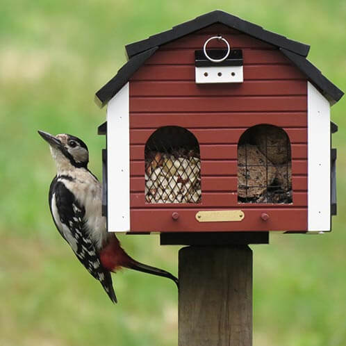Mangeoire à oiseaux résistante aux écureuils, capacité de 2,3 kg, mangeoires  à oiseaux robustes pour suspendre à l'extérieur, mangeoire pour oiseaux  sauvages, cardinal, colibri : : Terrasse et Jardin