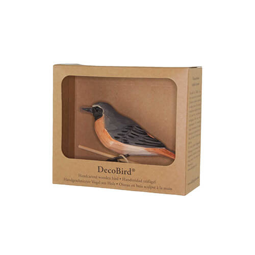 DecoBird Rougequeue à Front Blanc - 4