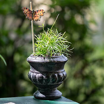 Magnet Butterfly Comma, hand carved wooden magnet painted with environmentally friendly colours, in a graden setting