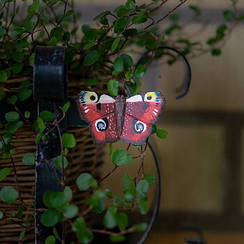 Magnet ButterflyPeacock, hand carved wooden magnet painted with environmentally friendly colours, in a garden setting