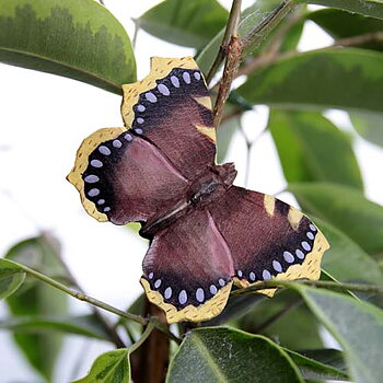 Magnet Butterfly Camberwell Beauty, hand carved wooden magnet painted with environmentally friendly colours