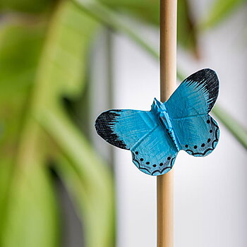 Magnet Butterfly Holly Blue, hand carved wooden magnet painted with environmentally friendly colours
