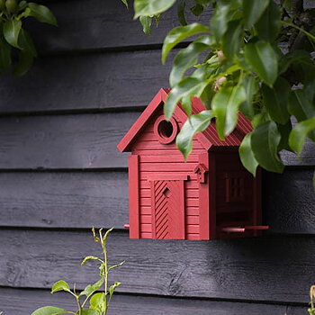 Birdhouse and bird box from Wildlife Garden