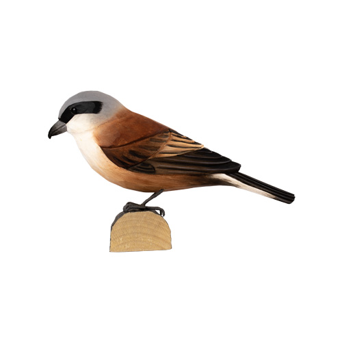 DecoBird Red-backed Shrike - 5