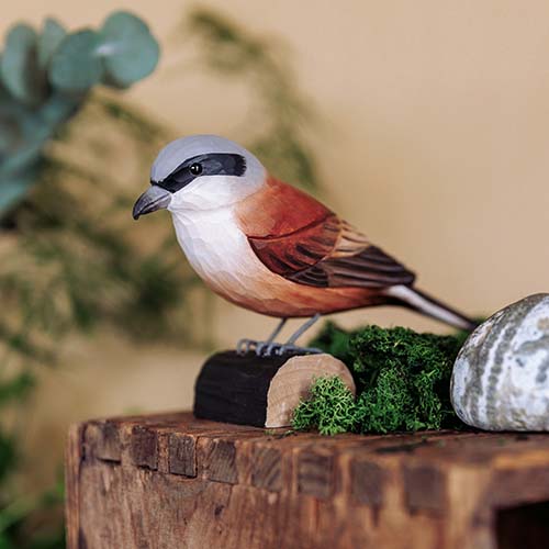 DecoBird Red-backed Shrike