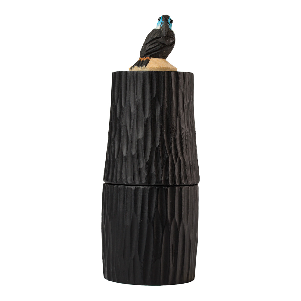 Salt & Pepper Mill Toucan Blue - 4
