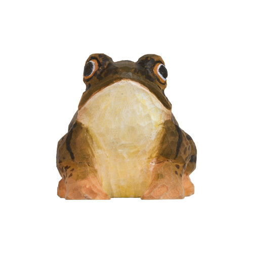 Grenouille des champs, vue de face