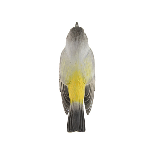 DecoBird Miro à poitrine jaune, vue du dessus
