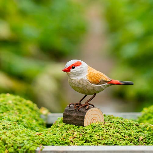 DecoBird Rödbrynad Astrild, handsnidad dekorationsfågel i trä målad förhand med miljövänlig färg, i naturmiljö på en växt