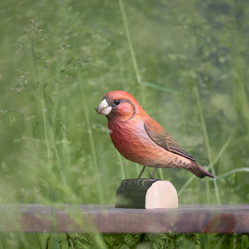 DecoBird Red Crossbill - 4