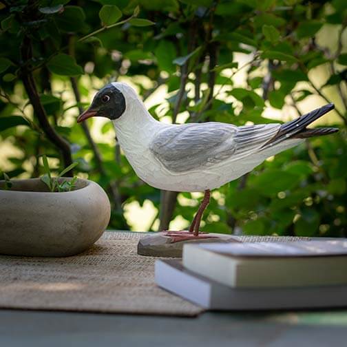 DecoBird Skrattmås, handsnidad dekorationsfågel i trä målad förhand med miljövänlig färg i naturmiljö