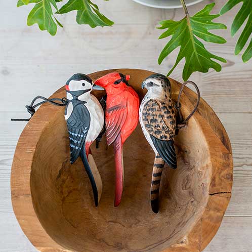 Chausse-pied Cardinal Rouge et ses amis