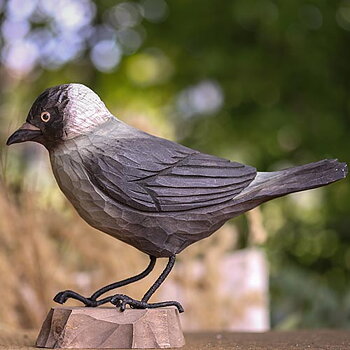 DecoBird Jackdaw, hand carved wooden bird painted with environmentally friendly colours, in a garden setting