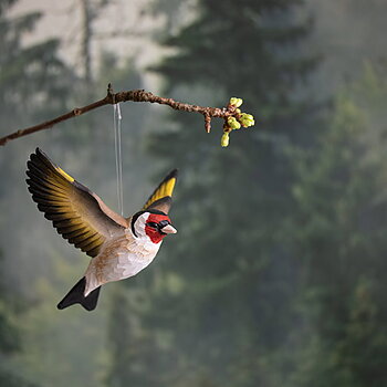 DecoBird Flying Goldfinch, hand carved wooden bird painted with environmentally friendly colours, hanging on a branch