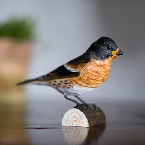 DecoBird Pinson du Nord - 2
