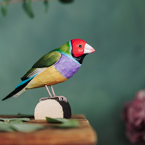 DecoBird Gouldian Finch