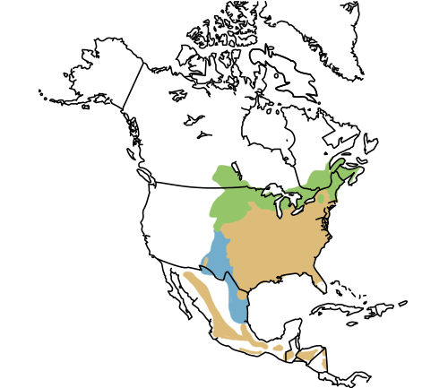 distribution