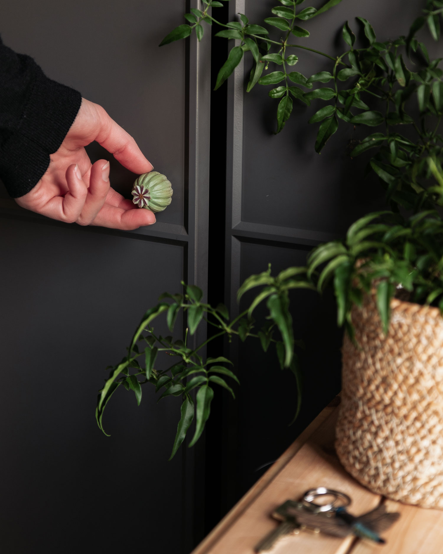 cabinet knobs  